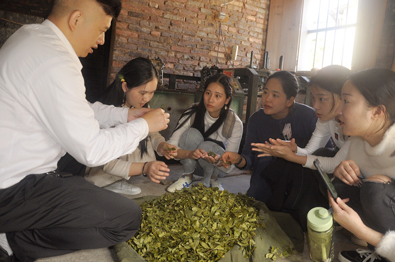 中国茶艺师培训学校排名 茶艺培训哪家专业? 